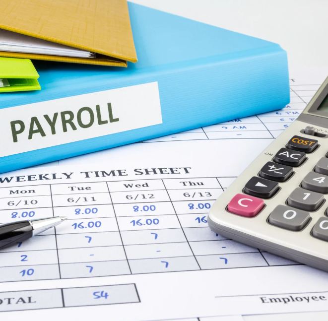 "HR professional calculating employee taxes, including TDS deductions and benefit contributions, on a digital platform.